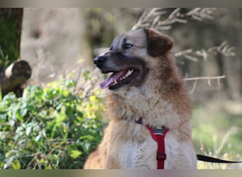 Penny- springt mit Dir ins Abenteuer!