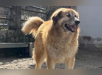 Penny- springt mit Dir ins Abenteuer!