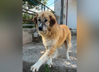 Penny – Mit Schwung direkt ins Herz