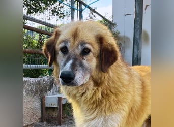 Penny – Mit Schwung direkt ins Herz
