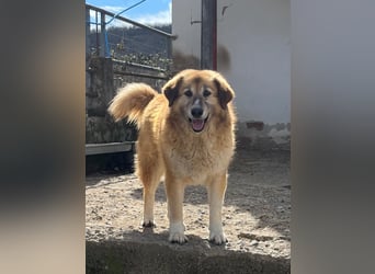 Penny – Mit Schwung direkt ins Herz