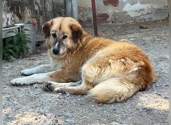Penny – Mit Schwung direkt ins Herz