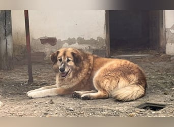 Penny- springt mit Dir ins Abenteuer!