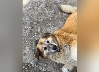 Penny – Mit Schwung direkt ins Herz