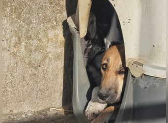 Eda möchte Dein Herz erobern!