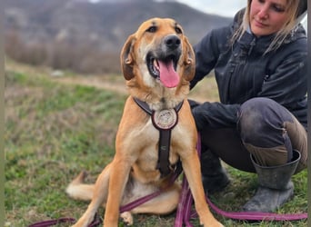 Eda möchte Dein Herz erobern!