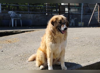 Penny- springt mit Dir ins Abenteuer!