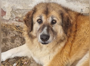 Penny- springt mit Dir ins Abenteuer!