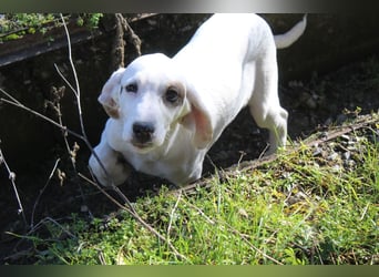 Snow -eine zarte Seele sucht ihr Glück