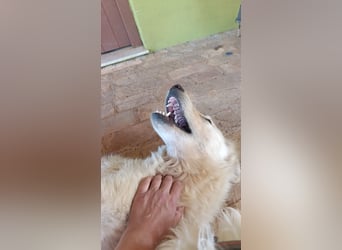 Duška wartet sehnsüchtig auf dich