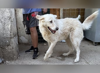 Duška wartet sehnsüchtig auf dich