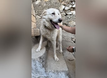Duška wartet sehnsüchtig auf dich