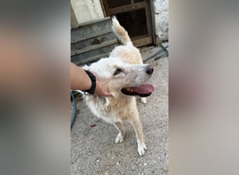 Duška wartet sehnsüchtig auf dich