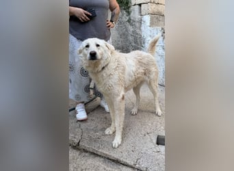Duška wartet sehnsüchtig auf dich