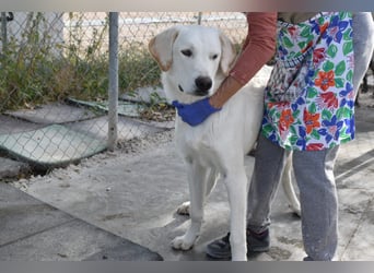 Cuqui wartet schon so lange