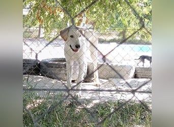 Cuqui wartet schon so lange