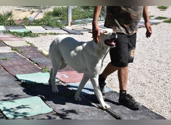 Cuqui wartet schon so lange