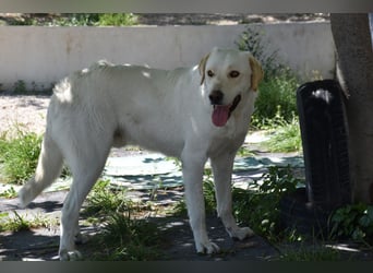 Cuqui wartet schon so lange