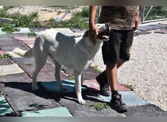 Cuqui wartet schon so lange