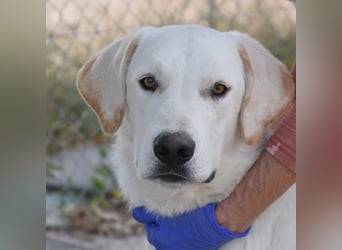 Cuqui wartet schon so lange