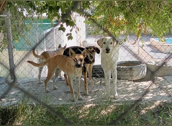 Cuqui wartet schon so lange