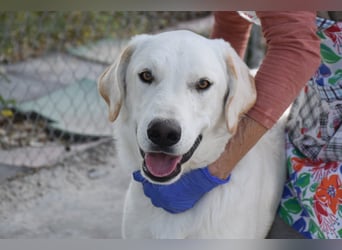 Cuqui wartet schon so lange