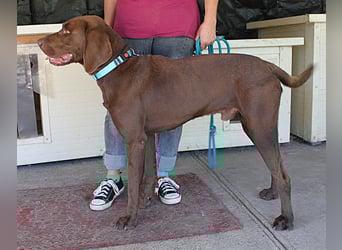 Sanfter Wotan sucht seine Menschen