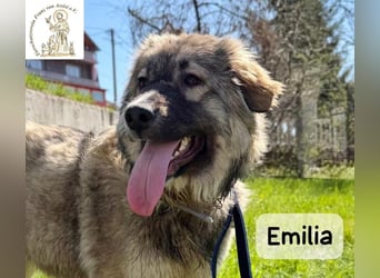 Emilia – mit Klarheit, Herz und Verantwortung durchs Leben!