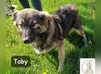 Toby hat Pläne … große!