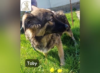 Toby hat Pläne … große!