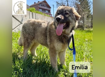Emilia – mit Klarheit, Herz und Verantwortung durchs Leben!