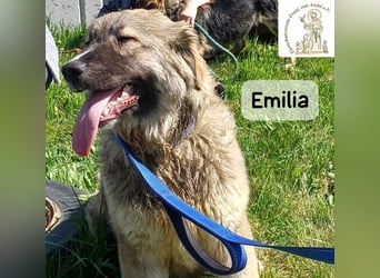 Emilia – mit Klarheit, Herz und Verantwortung durchs Leben!