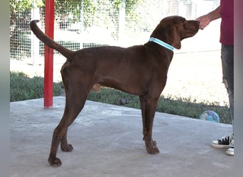 Sanfter Wotan sucht seine Menschen