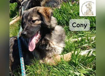 Cony – klug, klar, charakterstark!