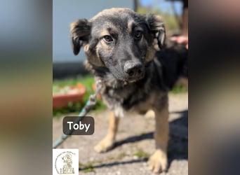 Toby hat Pläne … große!