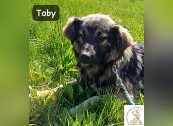 Toby hat Pläne … große!