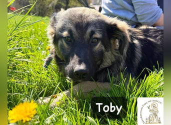Toby hat Pläne … große!
