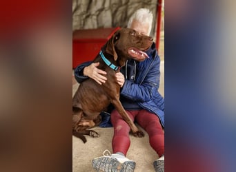 Sanfter Wotan sucht seine Menschen