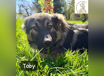 Toby hat Pläne … große!