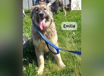 Emilia – mit Klarheit, Herz und Verantwortung durchs Leben!