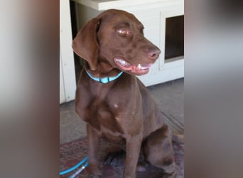 Sanfter Wotan sucht seine Menschen