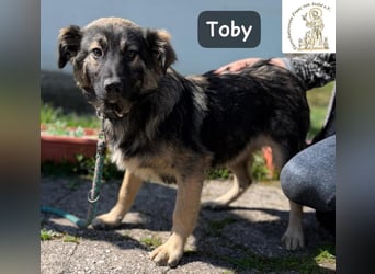 Toby hat Pläne … große!