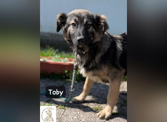 Toby hat Pläne … große!