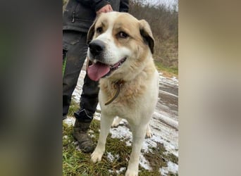 HEIDI 2 ist eine Schönheit