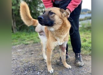 OREIAS musst schon viel aushalten