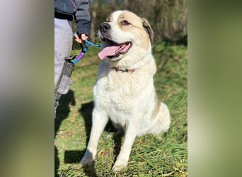 HEIDI 2 ist eine Schönheit