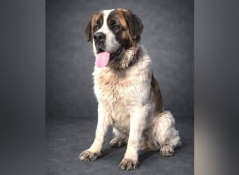 BETTY 2 - Wer zeigt ihr wie schön das Leben sein kann