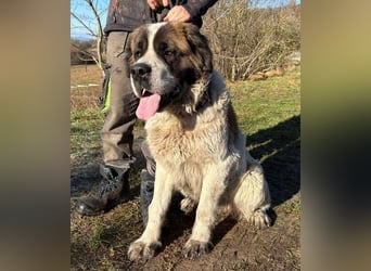 BETTY 2 - Wer zeigt ihr wie schön das Leben sein kann