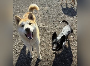 BUBO ist ein Strahlemann