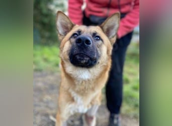 OREIAS musst schon viel aushalten